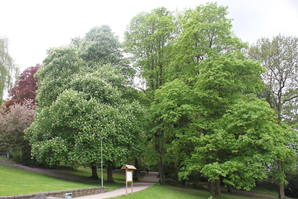 Privatzimmer Hagen ハーゲン エクステリア 写真